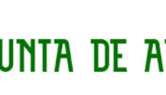 junta andalucia